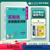英语 选择性必修第一册 [正版]2024版实验班高中英语选择性必修1译林版第一册 高二英语书选修1同步必刷题新高一必修课