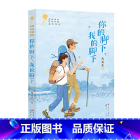 [正版]你的脚下,我的脚下 西雨客著 青铜葵花儿童小说奖青铜获奖作品 第二辑9-12岁儿童文学阅读青少年中小学生课外阅