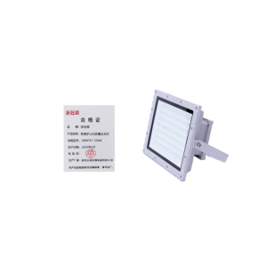 浙冠荣 GRDF97-100W 免维护LED防爆泛光灯
