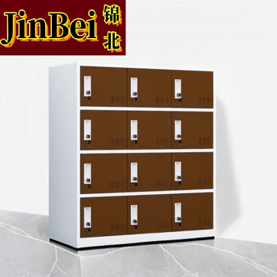锦北多门更衣柜带锁工具柜教室学生书包柜多格子收纳柜 白咖十二门
