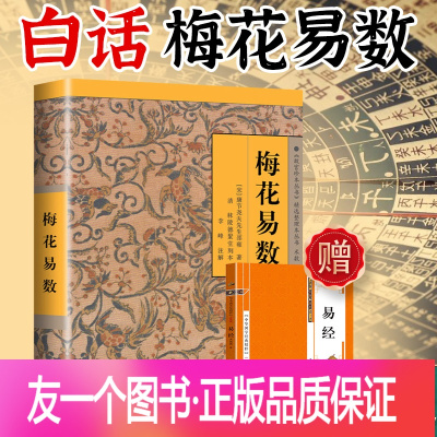 [友一个正版]梅花易数 邵雍著 邵康节 白话讲义精解中国哲学书籍邵子