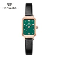 天王女士手表石英表轻奢复古小绿表防水皮带女表送女友老婆生日礼物推荐31283