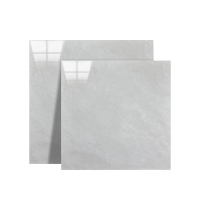 璐盐 瓷砖地砖 600*600mm 块