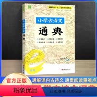 小学古诗文通典 小学通用 [正版]小学古诗文通典一二 三四 五六 年级上下全一册人教版通城学典语文课内外古诗词文言文每日