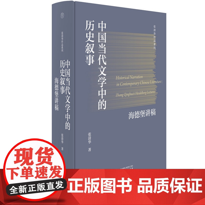 纯粹· 中国当代文学中的历史叙事:海德堡讲稿 张清华/著 文学 理论 广西师范大学出版社