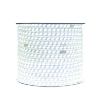 格瑞捷LED彩灯带斜三排白光/米