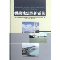 [M]桥梁地震保护系统-9787113148713