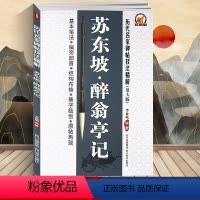 [正版] 李放鸣编 苏东坡醉翁亭记(放大版)/历代名家碑帖技法精解 基本笔法 偏旁部首 结构布势 集字临创 原帖再现