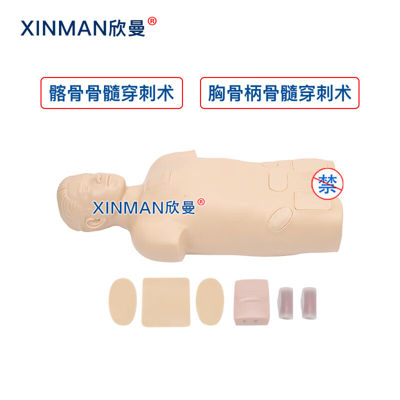 欣曼科教 骨髓穿刺模拟人 骨髓穿刺训练模型 医学教学人体模型XM-1011