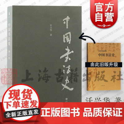 中国书法史 沃兴华著 中国书法史专著学术书籍 书法研究与学习 上海古籍出版社