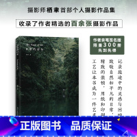 [正版]签名版日常的诗句 摄影师@栖聿个人摄影作品集100张 探索生活中的美好 旅途中的灵感与回响 旅途自然风光风景