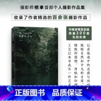 [正版]签名版日常的诗句 摄影师@栖聿个人摄影作品集100张 探索生活中的美好 旅途中的灵感与回响 旅途自然风光风景
