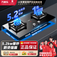 万家乐(Macro)燃气双灶Y3R1 天然气 5.2kW猛火灶聚能锅支架 快速点火铜火盖台嵌两用一级能效