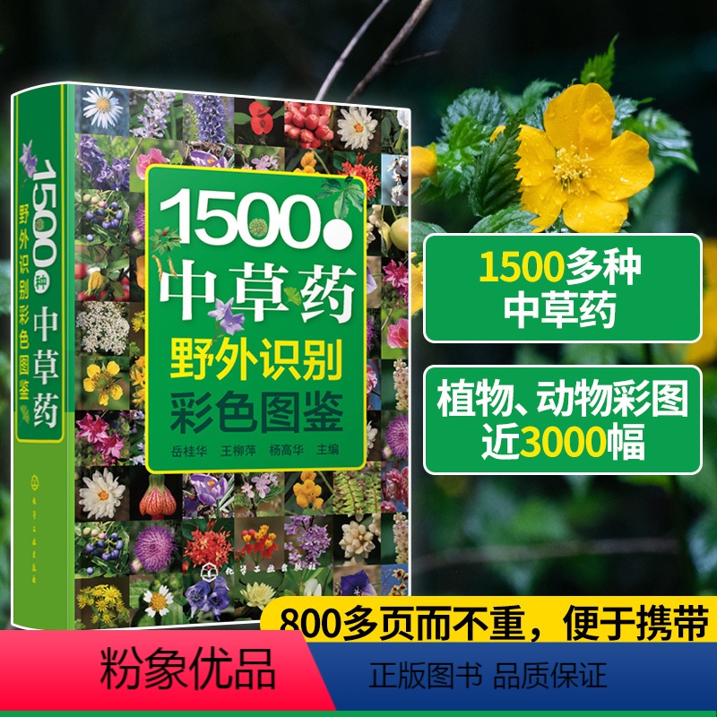 [正版] 1500种中草药野外识别彩色图鉴 中草药书入门医学书籍本草纲目医学自学书籍中草药大全常用中药养生功效药方健