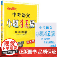 恩波教育2025新版 中考语文英语物理化学 小题狂做提优版全国通用版九年级下 强化训练初三总复习提优拔尖冲刺专题含答案全