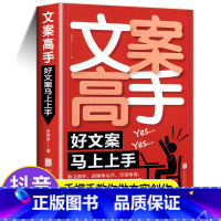 [正版]抖音文案高手好文案一句话就够了 如何写出短视频文案写作与变现广告文案写作指导内容创作365日创意文案 营销
