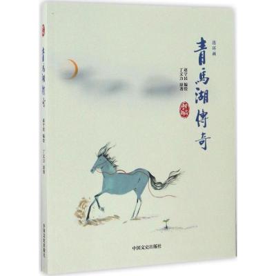 正版新书]青马湖传奇赵守民 编绘 著9787503482205