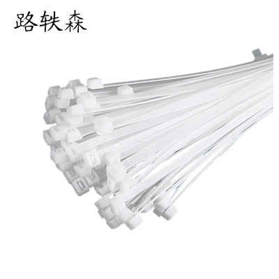 路轶森 尼龙扎带 10*500mm 包
