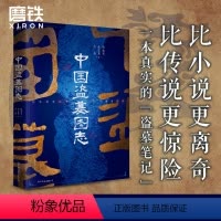 [正版]中国盗墓图志 比小说更离奇 比传说更惊险 盗墓笔记鬼吹灯的灵感策源地岳南许志龙商成勇历史文物考古图书书籍