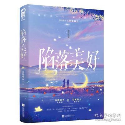 正版新书]陷落美好黄鱼听雷9787559463524