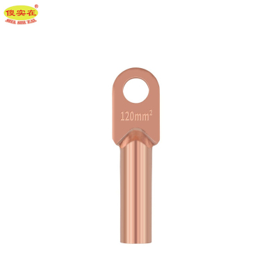 傻实在 铜鼻子 DT-120mm² 个