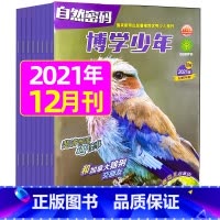 2021年12月 [正版]全年珍藏博学少年自然密码2022年1-9月共9期 翻阅历史 开启智慧 环游世界 探索未知 学