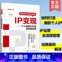[正版] IP变现 个人品牌IP打造及变现实操 电商营运逻辑规律 百度头条公从号抖音直播小红书微信快手发展模式 私域流量