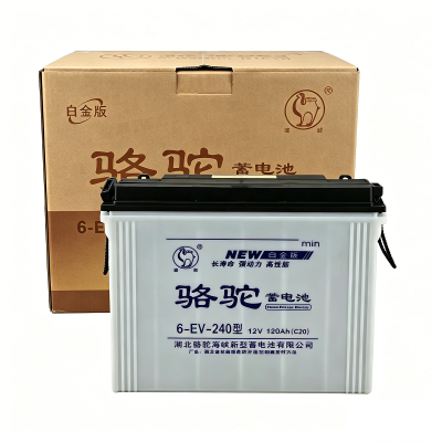 骆驼 蓄电池12V120Ah 6-EV-240型 只