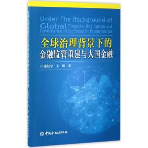 正版新书]全球治理背景下的金融监管重建与大国金融祁敬宇978750