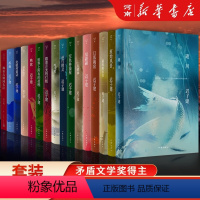 [全套16册]茅盾文学奖得主迟子建作品集 [正版]全套16册迟子建作品集 额尔古纳河右岸+逝川+原始风景+短的白日+福翩