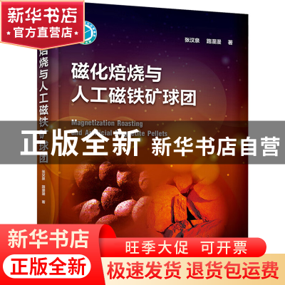 正版 磁化焙烧与人工磁铁矿球团 张汉泉,路漫漫著 化学工业出版