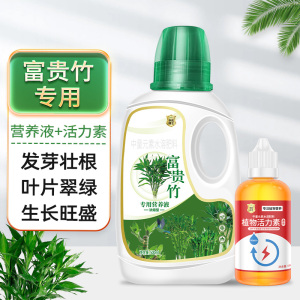 [补贴10%]富贵竹专用营养液治叶子发黄转运竹节节高文昌竹水竹水培植物生根