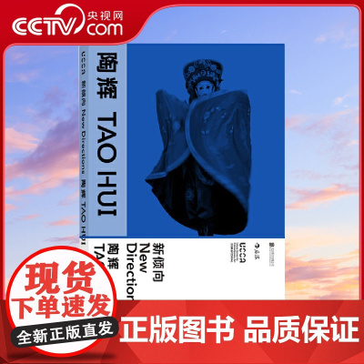 [央视网]新倾向陶辉 2015年华宇青年奖“评委会大奖”得主陶辉专著 全方位详细记录UCCA同名展览精华HL