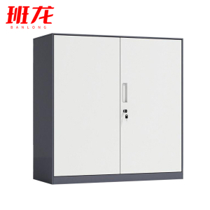 班龙资料柜双门台