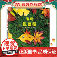 落叶捉迷藏(实物造型,实景拍摄,想象力和动手力完美结合)