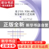 正版 基于UG NX 6.0的钣金成形工艺实训 丁宇涛,林君主编 北京航