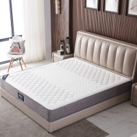域赢进口天然乳胶床垫独立袋装弹簧席梦思床垫酒店家用科技底面两用椰梦维床垫2000*1800*220