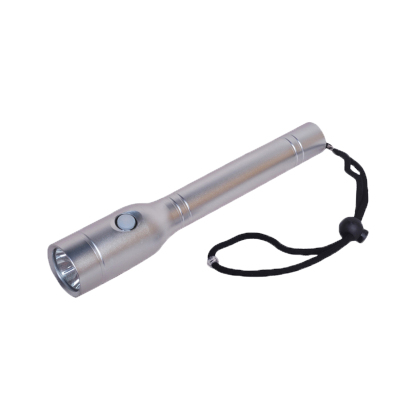 赛驰科技(SAICKG) SCK3-7604 DC220V 50W 6700K IP65 电筒 (单位:个) 银