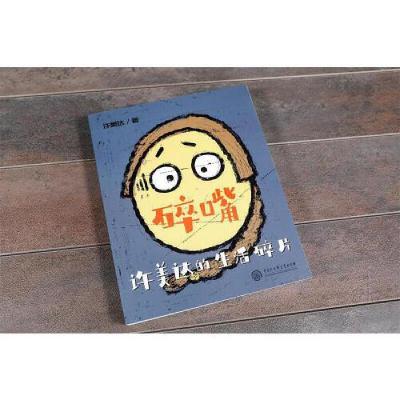 正版新书]碎嘴许美达的生活碎片许美达9787520208147