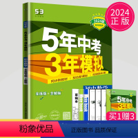 数学 七年级下 人教版 七年级/初中一年级 [正版]2024五年中考三年模拟七年级下册数学人教版RJ初一必刷题练习册53