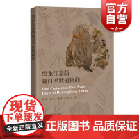 黑龙江嘉荫晚白垩世植物群 恐龙灭绝植被改变系统全面大量化石孙革地质古生物知识科普东北科学达勒比叶嘉荫莲 上海科技教育出版