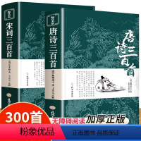 [正版]唐诗三百首 宋词三百首 全集完整版无删减300首 JST带注释译文赏析附插图 中国传统文化国学启蒙诗词鉴赏辞典