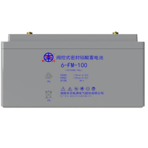 丰日 蓄电池 12V100ah 6-FM-100 只