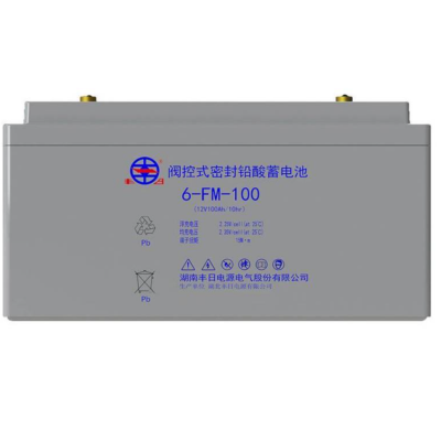 丰日 蓄电池 12V100ah 6-FM-100 只