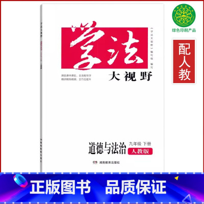道德与法治 九年级下 [正版]全新道德与法治九年级下册学法大视野人教版初三9九年级下册道德同步练习测试湖南教育出版社九年