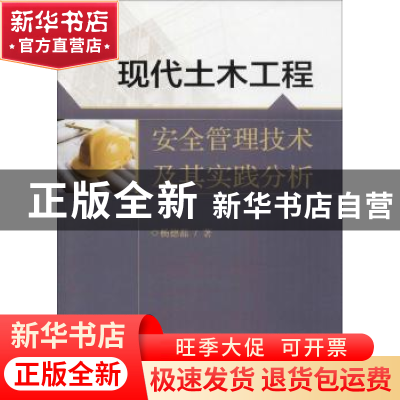 正版 现代土木工程安全管理技术及其实践分析 杨德磊 著 水利水电