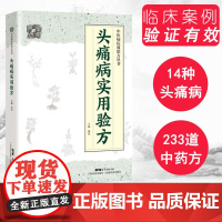 头痛病实用验方 中医病症效验方丛书 验方新编 中医验方大全 奇效验方 慢性功能性头痛 中医方略 谢炜 广东科技出版社店