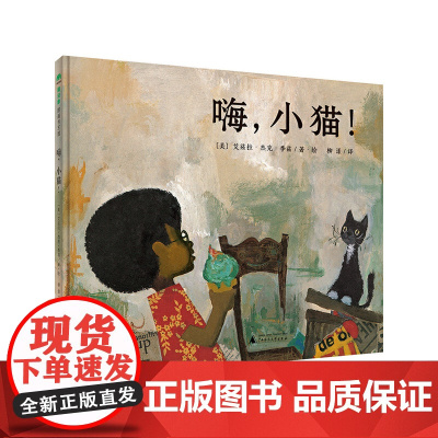 嗨小猫精装绘本图画书3-6岁亲子阅读用充满活力的色彩讲述男孩与小猫的相遇魔法象正版童书