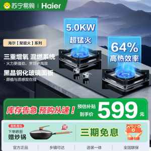 海尔Haier一级能效智能点火双眼燃气灶台嵌液化气燃气灶Q2BE6(20Y)
