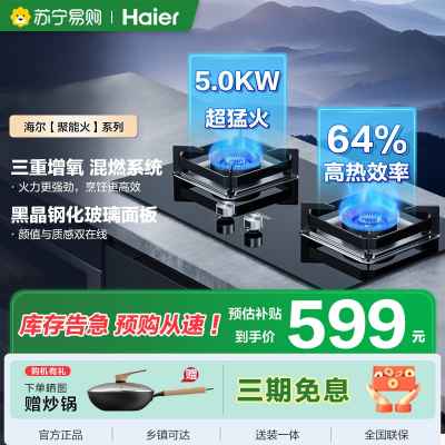 海尔Haier一级能效智能点火双眼燃气灶台嵌液化气燃气灶Q2BE6(20Y)